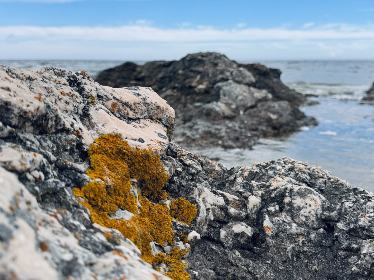 Gotland. [Zoom in 🔍]