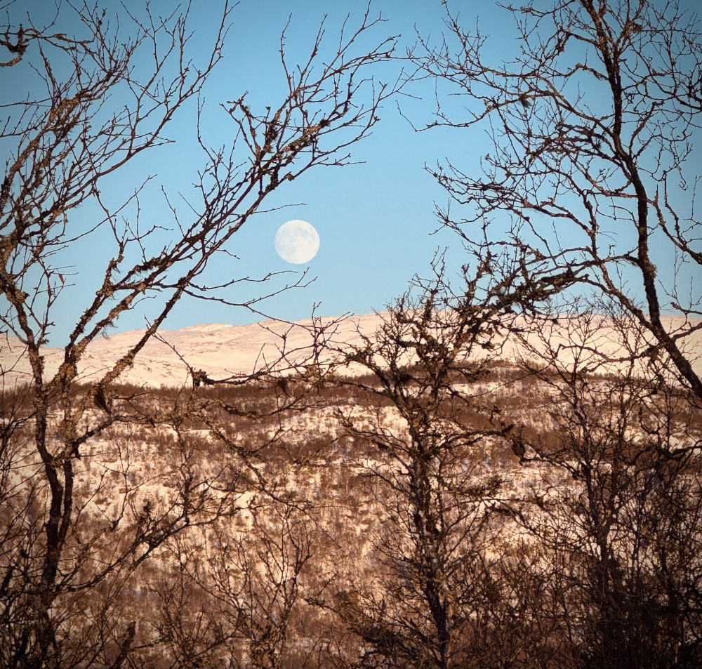 The mountain is beautiful! [Zoom in 🔍]